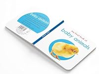 My First Library : Boxset of 10 Board Books for Kids