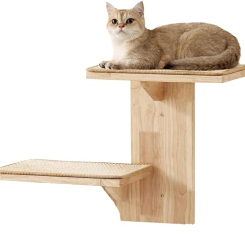 Jouet d'escalade pour chat : la solution gain de place contre l'ennui