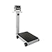 Detecto 5852F-204 Portable Digital Floor Scale, 500 lb. Capacity, 204 Indicator
