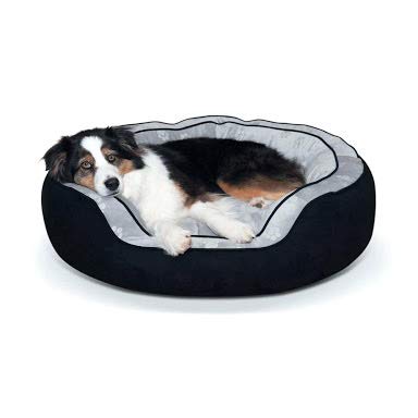 Petitude Reversable Dual Color Ultra Soft Ethenic Designer Velvet Bed for Dog & Cat(Export Quality)-Medium (B07HQXN84N) Amazon Price History, Amazon Price Tracker