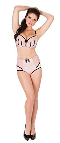 Parfait By Affinitas Women's Charlotte Highwaist Brief, Dusty Rose, X-Small #TOP1