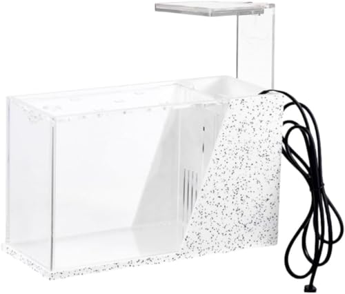 Brfveob 2  ANNAXNGA^NٗpԏK̓ItBXƒpك^N|vt  (ZT~zCg)