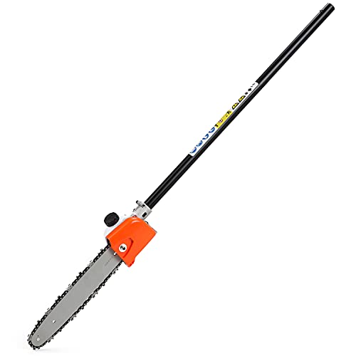 Ryobi Pole Saw Attachment The 15 best products compared