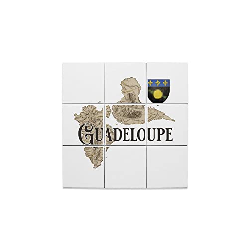 Carreaux Céramique Guadeloupe : Sublimez Votre Salon avec une Carte Ancienne Rare