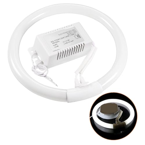 Ieron Universelles Zubehör für elektronische Vorschaltgeräte mit Kunststoffgehäuse für Ringröhren, geeignet für Beleuchtungsgeräte im Innen- und Außenbereich, zur Energieeinsparung