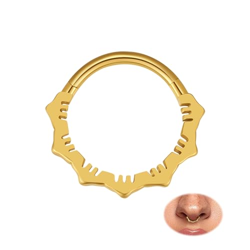 MissNity 16G Clicker Rings 316L Surgical Steel Hinged Hoops for Septum, Daith and Cartilage Earlobe Piercings Jewelry, Diameter 8mm, 10mm