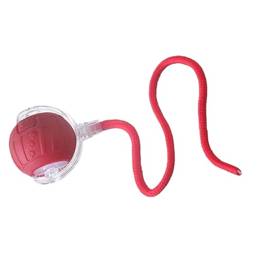 Interactive Cat Ball, Automatic Cat Toy, Electric Quiet Smart Ball with Tail Rope for Indoor Andd Outdoor Exercise, Boredom Reli