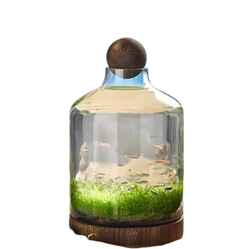 ボトルアクアリウム 金魚鉢、水槽ボトル、透明ガラス、和風、木製トレイ、kxzlhaa 厚手エコボトル、、マイクロランドスケープ ランドスケープ魚鉢、水耕栽培 ガラス水耕植物テラリウム, 透明な木製サポート生態 (とうめいしょく,48*27cm)