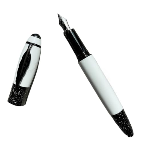 Stylo plume en métal EF parfait pour le bureau et vos notes
