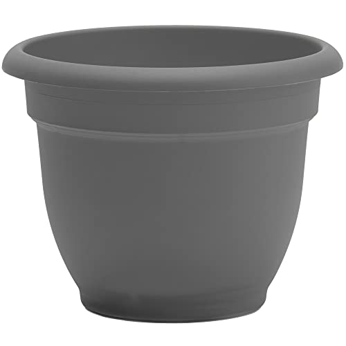 Bloem Ap12908 Ariana Self Watering Planter 12", Charcoal Gray #TOP28