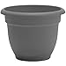 Bloem AP12908 Ariana Self Watering Planter 12