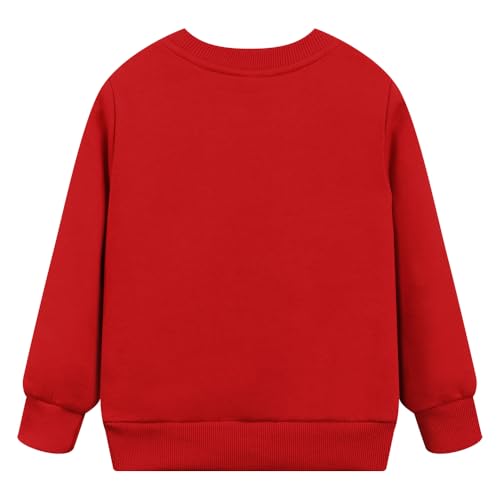 Image of Popshion Toddler Boys Sweatshirt Cotton Lightweight Kids Winter Warm Sweater Crewneck Pullover Tops