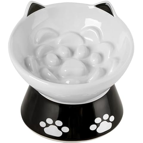 HAPPY KIT Slow Feeder Cat Bowl, Non-Slip Silicone Ring Bottom for Better Feeding 6 Inches Dog Slow Feeder Bowl Elevated and Titled Ceramic Cat Food Bowl Anti Vomiting for Dry and Wet Food (White) Cover