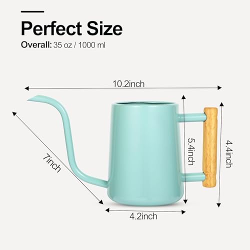 Image of Watering Can Indoor Plants, 35 oz /1000 ml Metal Stainless Steel Watering Can Pot with Long Spout for Indoor House Plants Bonsai Outdoor Garden Flower Decorative (Green