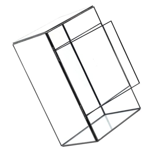 BESPORTBLE Terrarium Géométrique pour Plantes Conteneur Transparent DIY pour Décoration de Table Salon