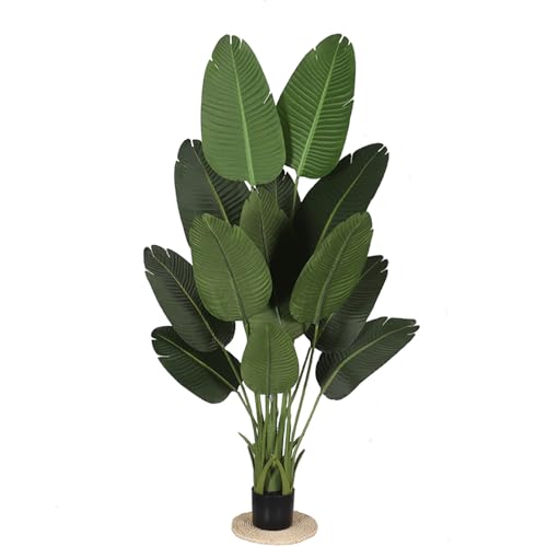 観葉植物 160cm」の人気商品一覧 | 安い商品を通販サイトから探す