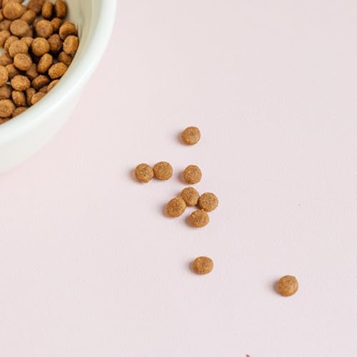 Futtermatte für Hunde, rutschfest, ölbeständig und auslaufsicher, Platzdeckchen für Futter und Wasser für kleine Hunde- Wohnmobil, Küche, Essensplatz, Wohnzimmer, Hof, Balkon, Welpen-7