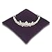 Resonant Energies 8.5 Inch Square Violet Purple Velvet Tiara & Crown Display Pillow Stand, 'Bean Bag' Support, TPV29X