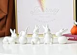 HDLJIAL Easter Bunny Set di 5 Figure, Decorazioni di Conigli Pasquali in Ceramica per Primavera Casa Centrotavola, Statue Creative per Conigli, Decorazioni per le Vacanze