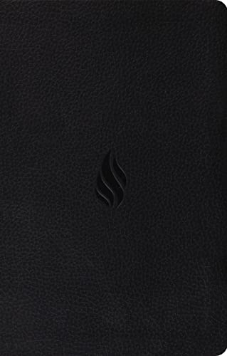 ESV Value Thinline Bible (TruTone, Midnight, Flame Design)