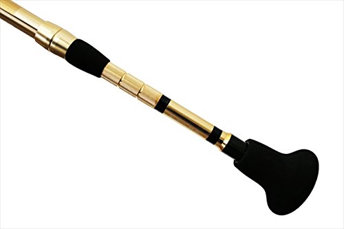 Amazon | A.T.LAB. MASTER EDGE 青物 POWERG 195H キャスティング