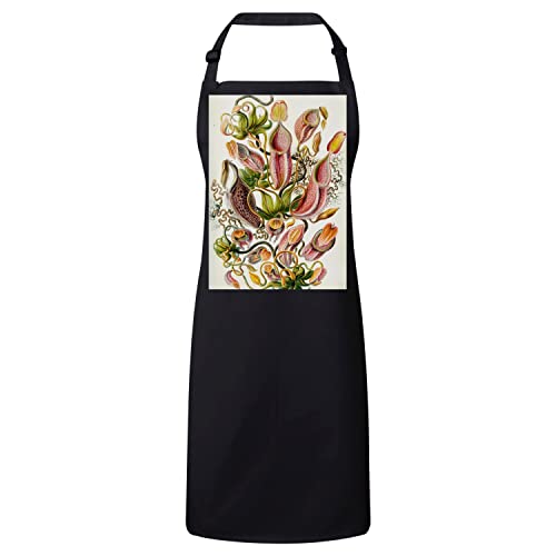 Tablier Cuisine Premium Nepenthes : élégance d'une gravure botanique ancienne