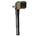 Delphi GN10690 Ignition Coil
