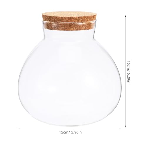 Recipiente de vidrio templado y tapa de corcho premium para proyectos DIY 3