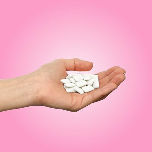 Image of PUR Gum, Bubblegum, Xylitol Gum, No Artificial Flavor, 108 Count (12x9)