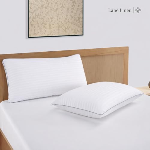 Image of LANE LINEN Hollow Fiber Sleeping Pillows Set of 2 (16 inchx24 inch) - Soft and Fluffy | Bed Pillow for Back, Stomach or Side Sleepers - Hotel Quality | Comfortable & Durable - White