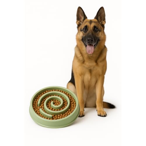 Image of Slow Feeder Bowl | Round Maze Food Bowl for Dogs and Cats | Anti Choking Puzzle Bowl | Anti Slip Interactive Feeding Dish | Durable & Easy to Clean | Anti Bloat and Aids Digestion (Green)