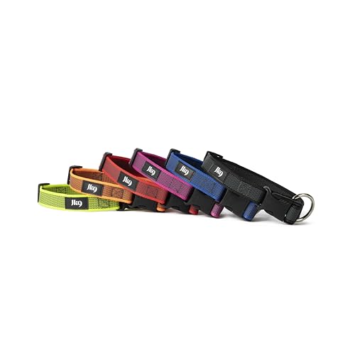 JULIUS K-9 225CG-B Color & Gray Halsband, 25mm*39-65 cm, verstellbar, blau-grau, 25 mm (39-65 cm)