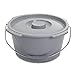McKesson Commode Replacement Bucket with Handle and Lid, 7.5 qt, 1 Count