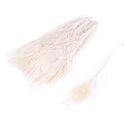 Plumas de pavo real para centros de mesa elegantes en banquetes y eventos pack de 250 7