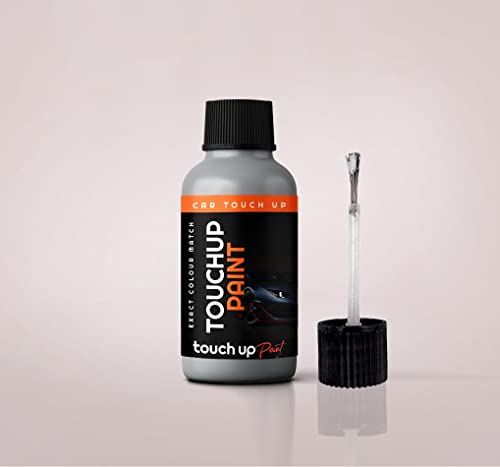 Xtremeauto Touch Up Paint For Chevrolet Switchblade Silver Metallic 17, 636R, GAN, WA636R Scratch/Stone Chip Repair, 'All in one' Unique Paint + Lacquer Solution