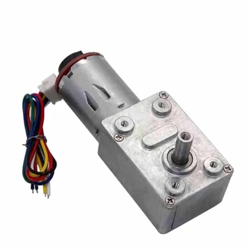 Moteur à engrenage vis sans fin CC pour éviter les retours de charge - 4