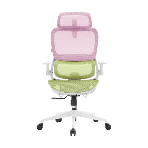 SIHOO Chaise de Bureau Ergonomique...