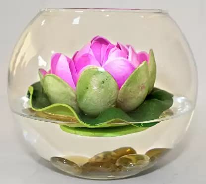 Dreamy Designs Glass Fish Bowl 6" Width,Easy to Carry,Crystal Clear Glass Pack of 1 (B09BNQM474) Amazon Price History, Amazon Price Tracker