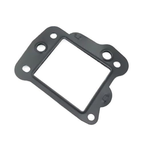 Junta de válvula de recirculación de gases para Peugeot 807 para solucionar tirones de motor 2.2