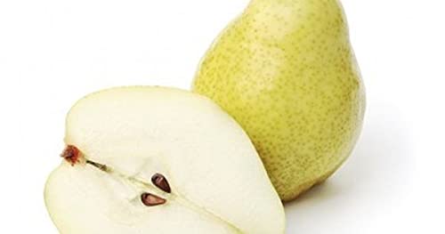 Royal Paradise Garden Rare Pear Fruit Seed"White" Exotic 20 Fruit seeds for Growing (B094BYYGFW) Amazon Price History, Amazon Price Tracker