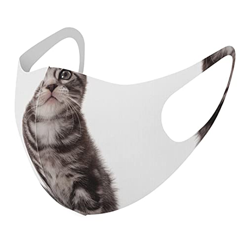 [X}R] fUC }XN QZbg |GXe 􂦂 z}XN XLTCY 傫 jp 001070 L AJV[gwA