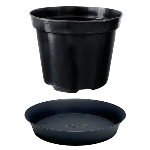 Growcery Heavy Duty Round Plant Pot & Saucer Set 7 Sizes from 3L to 25L Indoor Outdoor Use Durable Plastic for Flowers Vegetables Herbs - Includes Matching Saucer Black (1 Round 3L + 20cm)