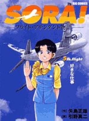 Amazon.co.jp: SORA! 4 (ビッグコミックス) : 矢島 正雄, 引野 真二: 本