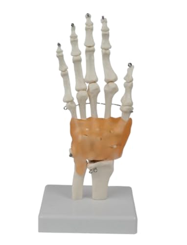 Geyaziu ���b�� ���֐� ���֐� �Ҋ֐� ��֐� �G�֐� �I�֐� ���� �͌^ �l�̖͌^ ���f�� ���i�͌^ �W�{ �x�� ��w �w�K�p �ғ� �x�[�X�t�� (D)