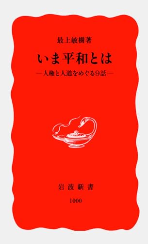 いま平和とは: 人権と人道をめぐる9話 (岩波新書 新赤版 1000)