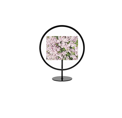 Umbra Infinity Round 4x6 Picture Frame, Floating Photo Display for Desk or Wall