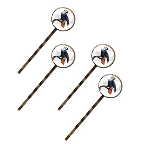 Pince à cheveux perroquet gris africain barrette fantaisie femme lot de 4