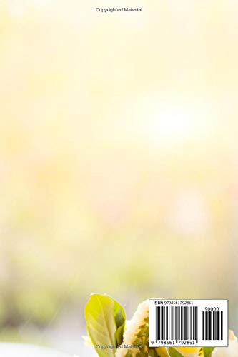 Buddha Notebook: ''All that we are is the result of what we have thought.'' Buddha Journal - Image 2