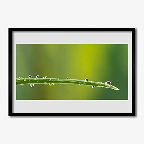Cadre en MDF de qualité supérieure et affiche 70x50 cm Tulup