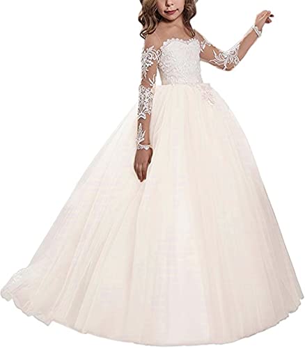 FLwuhui Flower Girl's Kids Long Sleeve Sheer Lace Embroidery Wedding Dress A-Line Tulle Trailing Princess Gowns